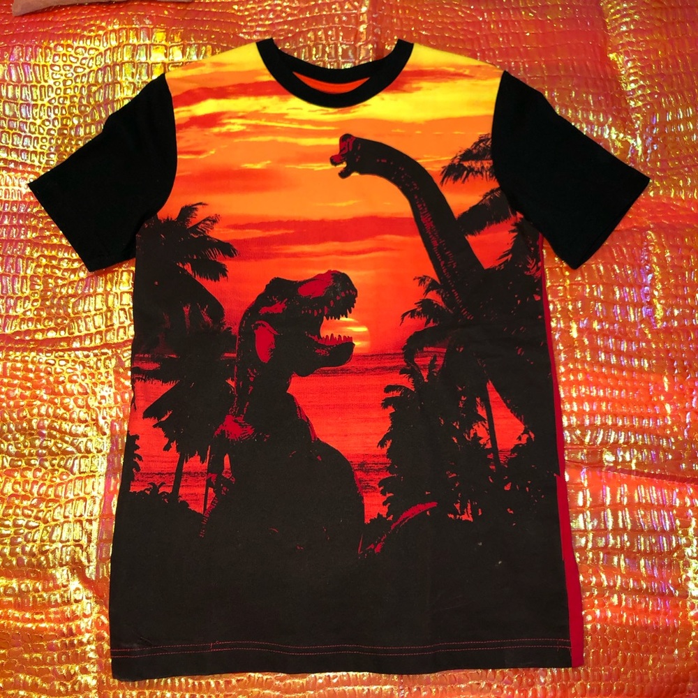 NWOT Boys CIRCO t-shirt in size 12/14